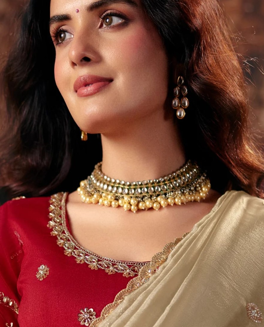 1010 - Beige & Red Designer Style Festive Wear Saree